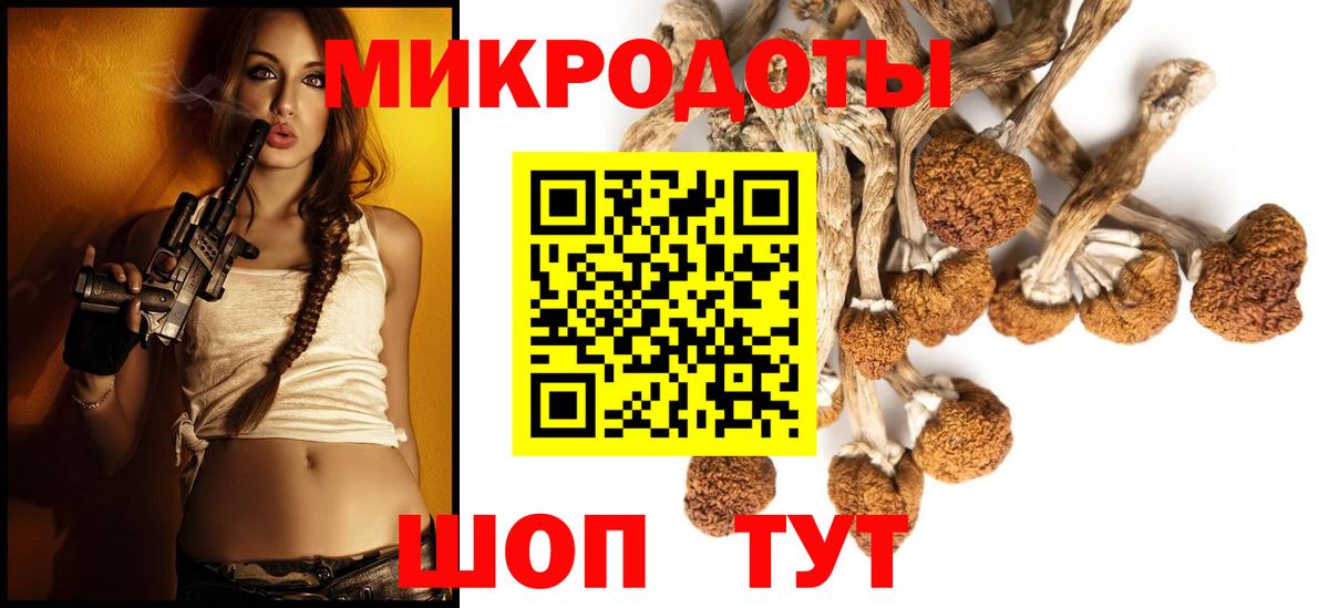 Галлюциногенные грибы MAGIC MUSHROOMS  Вход с VPN  Губаха  Галлюциногенные грибы GOLDEN TEACHER 